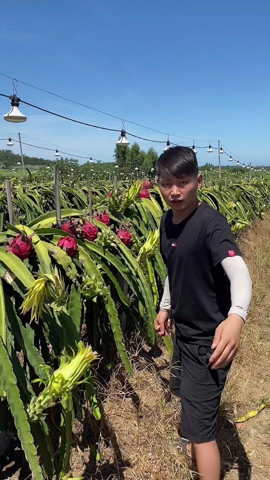 小楠鮮果_小楠鮮果個人資料_小楠鮮果直播間_18183kol_18183網紅站