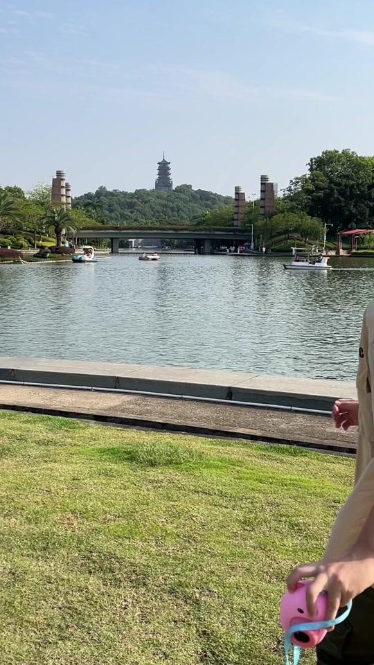 白弥0890_白弥0890个人资料_白弥0890直播间_18183kol