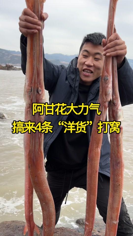 284秒阿甘在次奢侈一把,一斤29块的13斤大白鳗都买来打窝#三农 #赶海