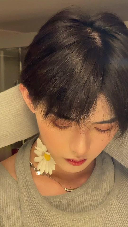 陈家苇日常号_陈家苇日常号个人资料_陈家苇日常号直播间_18183kol