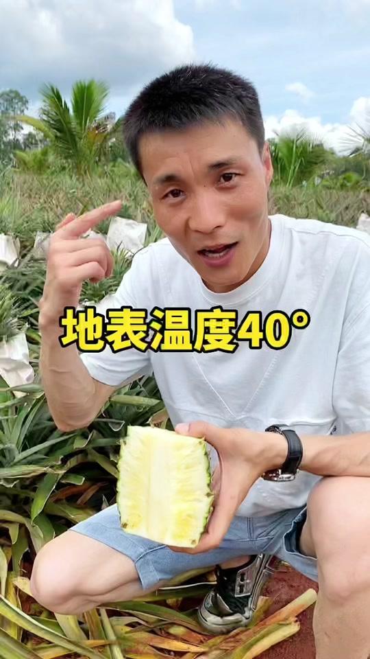 大秦虎哥_大秦虎哥个人资料_大秦虎哥直播间_18183kol_18183网红站