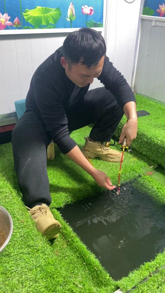 小杨钓鱼直播