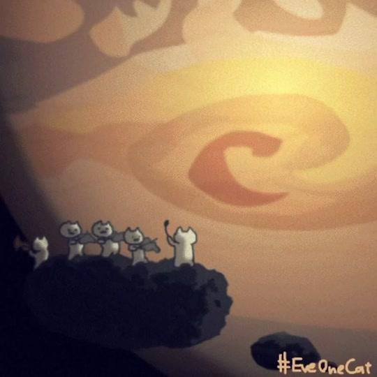 1w1762视频详情#eveonecat #everydayonecat 「bonfire lit!