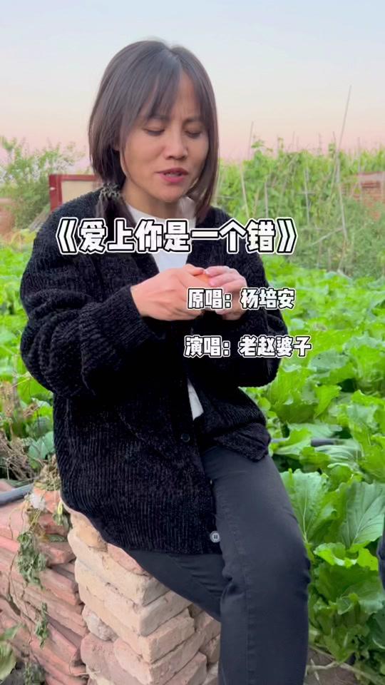 村花老赵婆子_村花老赵婆子个人资料_村花老赵婆子直播间_18183kol