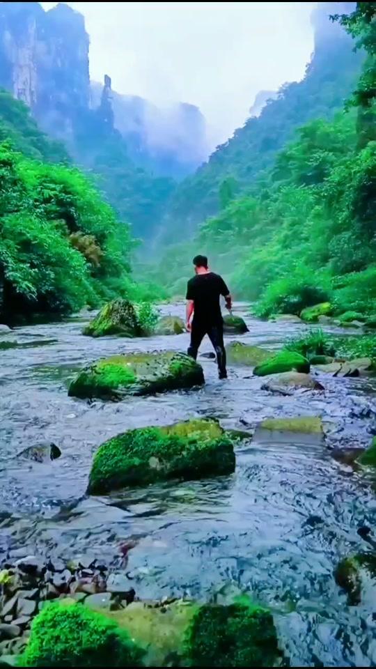 独行山水间