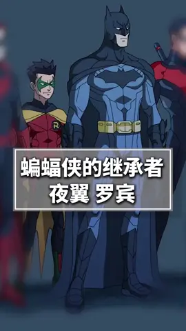 蝙蝠侠的好伙伴夜翼罗宾，二代蝙蝠侠！
