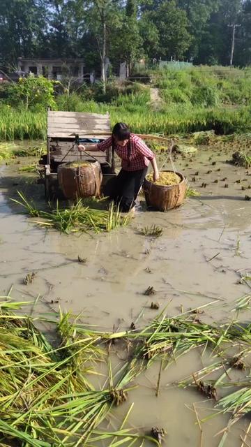 外国妞大肥b 外国妞多少钱 肥妞英文 卡兹短视频